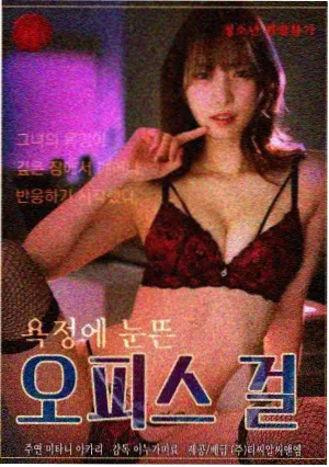 资源吧电视剧集雾港档案资源封面